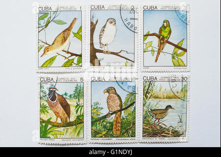 UZHGOROD, Ucrania - CIRCA mayo, 2016: colección de sellos postales impresas en Cuba correos muestra pájaros series, circa 1975 Foto de stock