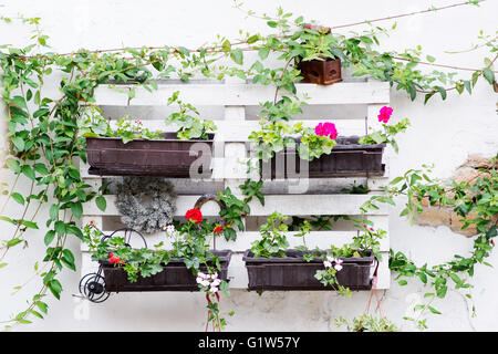 Ideas interesantes para la jardinería utilizando palets industriales por  colgar de la pared para macetas Fotografía de stock - Alamy