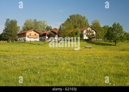 Casas rurales en una colina Alta Baviera, rodeada de prados en flor en una soleada mañana de primavera en primavera, Baviera, Alemania Foto de stock