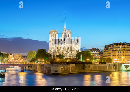 Catedral de Notre Dame de París al atardecer, Francia Foto de stock
