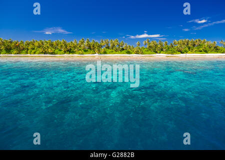 Blanca playa tropical en Maldivas con hermosas palmeras y laguna Azul. Concepto de fondo Foto de stock