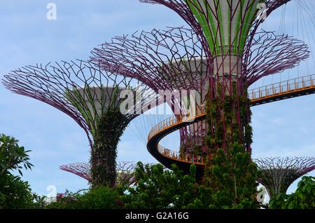 Hay turistas que caminan sobre la pasarela entre Supertrees OCBC en los jardines de la Bahía de Singapur