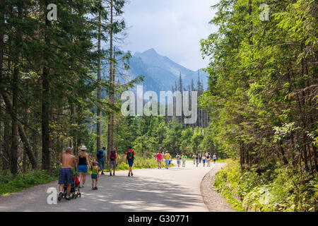 Grupo de turistas caminando por la carretera hasta el lago Morskie Oko, Czarny Staw y Rysy en altas montañas Tatra cerca de Zakopane, Polonia Foto de stock