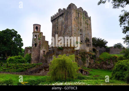 Castillo Blarney, Cork, Irlanda Foto de stock
