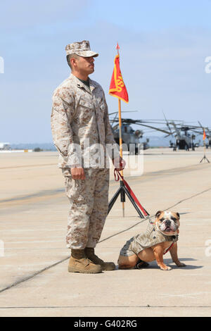 Marina de los EE.UU. y la mascota oficial de Marine Corps Air Station Miramar. Foto de stock