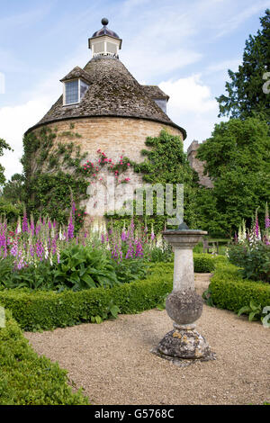 Digitalis purpurea. Cuadro Foxgloves y cobertura en casa Rousham jardines. Oxfordshire, Inglaterra Foto de stock