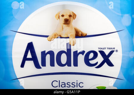 Londres, Reino Unido - 16 DE JUNIO 2016: un close-up de el logotipo de Andrex papel higiénico, el 16 de junio de 2016. Andrex es propiedad de los Estados Unidos Foto de stock