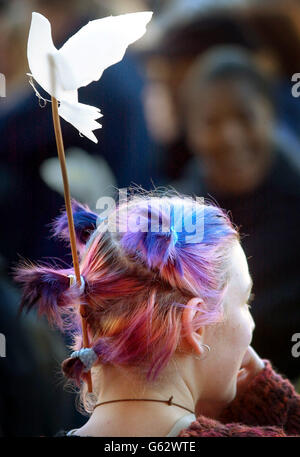 Un manifestante de paz lleva una paloma blanca en su cabello mientras se marchaba por Glasgow para protestar contra la acción militar propuesta contra Irak, en lo que los organizadores afirman que fue una de las manifestaciones antibélicas más grandes de Escocia. Foto de stock