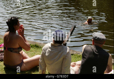 Un nadador en los estanques mixtos de Hampstead Heath, Londres, durante un período de tiempo caluroso. Foto de stock