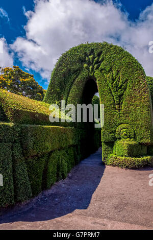 Tulcan es la capital de la provincia de Carchi, en Ecuador, América del Sur, es conocido por su cementerio Jardín Topiary Three-Acre Foto de stock