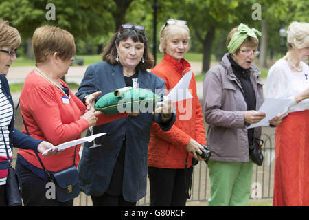 El Instituto de la Mujer batuta centenario en el Band Stand en Hyde Park en Londres como miembros del London/Surrey WI se reúnen para un picnic para celebrar su centenario. Foto de stock
