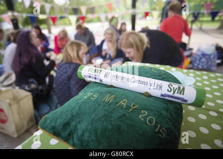 El Instituto de la Mujer batuta centenario en el Band Stand en Hyde Park en Londres como miembros del London/Surrey WI se reúnen para un picnic para celebrar su centenario. Foto de stock