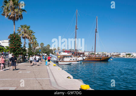 Excursiones cruceros en el puerto, la ciudad de Kos, Kos (COS), el Dodecaneso, región sur del Egeo, Grecia Foto de stock