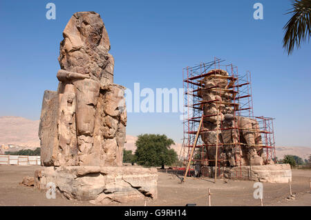 Colosos de Memnon, restauration, West-Thebes, Luxor, Egipto Foto de stock