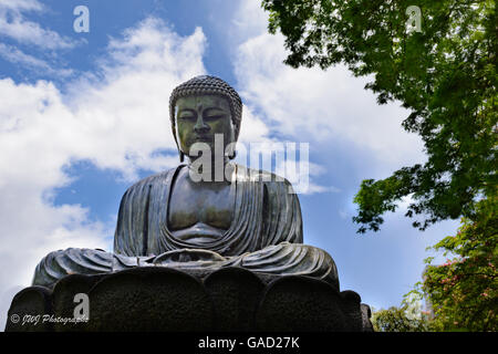 Estatua de bronce de Buda meditando en el Jardín Botánico Foster, Hawai Foto de stock