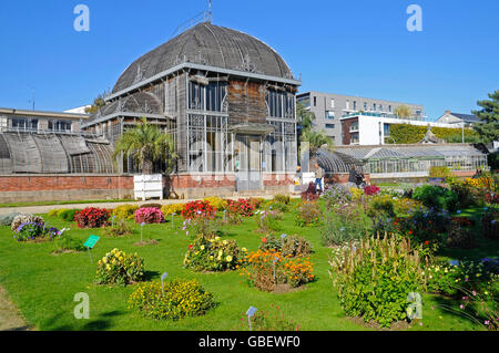 El Jardin des Plantes, el jardín botánico, Nantes, Departement Loire-Atlantique, Pays de la Loire, Francia Foto de stock