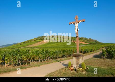 Situado cerca de viñedos Kayserberg, Alsacia, Francia Foto de stock
