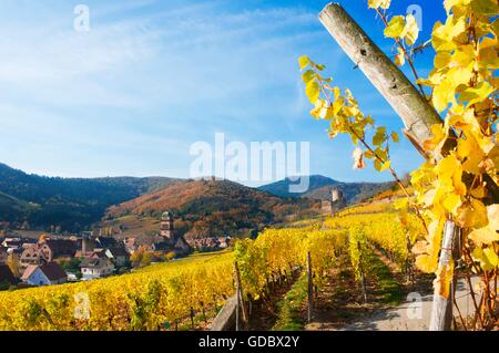 Situado cerca de viñedos Kayserberg, Alsacia, Francia Foto de stock