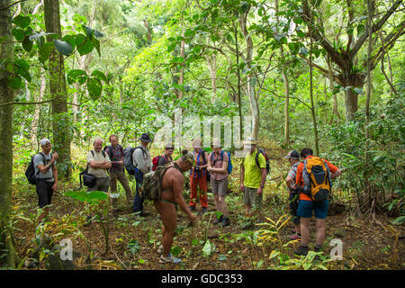 Molokai,local,Polinesios,ningún modelo de liberación,hombre,guía,visitante,ESTADOS UNIDOS,Hawaii,Latina,rain forest
