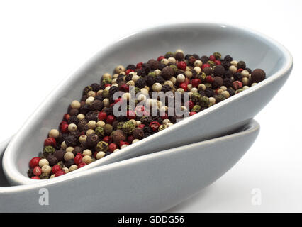 Cinco granos de pimienta, Piper nigrum, negro, verde, blanco, rosa y Pimienta de Jamaica, bayas contra el fondo blanco. Foto de stock