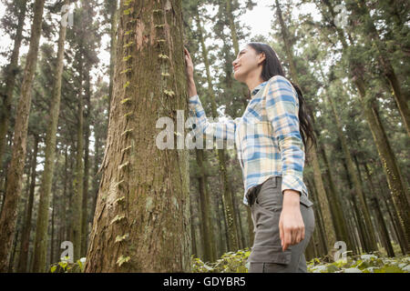 Vista lateral de ángulo bajo joven sonriente mujer de pie tocando un árbol en el bosque Foto de stock