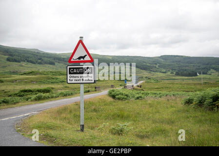 Nutria crossing road sign cerca Pennyghael, Mull, Inner Hebrides Foto de stock