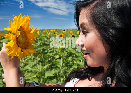 Una morena guapa joven mujer en un campo de girasol sosteniendo un girasol.
