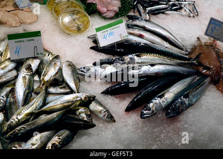 Pescados y mariscos de todo tipo, llenar el pescado monger puestos en la  Boqueri amrket en Barcelona Fotografía de stock - Alamy