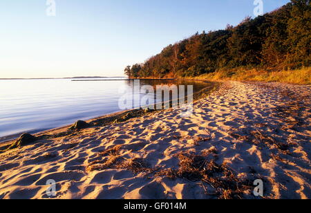 Geografía / viajes, Alemania, Mecklenburg-West Pomerania, Ruegen Isle, Lietzow, Jasmunder Bodden (Jasmund laguna glacial), puesta de sol,