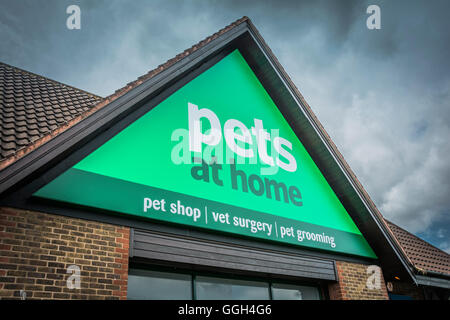 Londres, Inglaterra, Reino Unido: las mascotas en casa Tienda de letreros en Londres Foto de stock