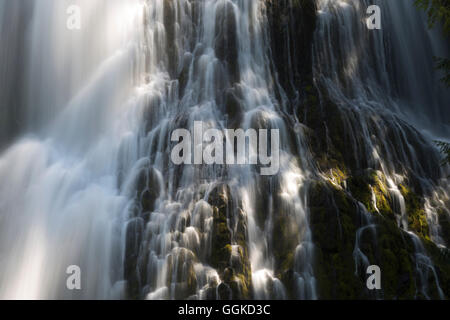 Cascada en el Bosque Nacional de Willamette, Tres Hermanas Wilderness, Oregón, EE.UU.