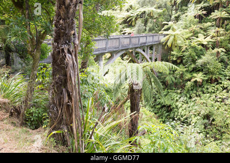 El Puente a ninguna parte, un viaje en canoa en el río Whanganui, Isla del Norte, Nueva Zelanda Foto de stock