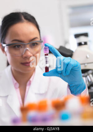 Scientist preparación de muestras clínicas de pruebas médicas en un laboratorio Foto de stock