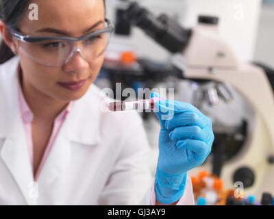 Scientist preparación de muestras clínicas de pruebas médicas en un laboratorio Foto de stock