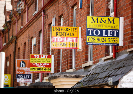 Dejar que los signos externos de propiedades en la zona universitaria de Belfast holylands