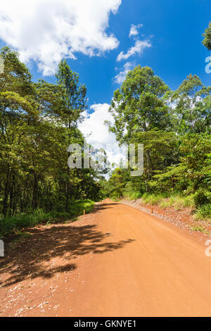 Camino de tierra con arcilla roja en Karura Forest, Nairobi, Kenya, con el cielo azul profundo y algunas nubes.