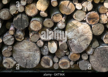 Cuidadosamente apilados cortes de madera. Foto de stock