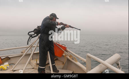 Whaler por la pistola, esperando para disparar una ballena Minke, a bordo de la Hrafnreydur KO-100 de Islandia. Foto de stock