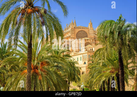 La Seu, la catedral gótica medieval de Palma de Mallorca, en el jardín de palmeras, España