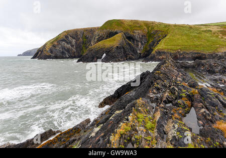 Una sección del norte de la costa de Pembrokeshire Moylegrove en Ceibwr Bay, Gales. Foto de stock