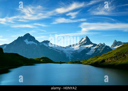 Lago Bachalpsee Wetterhorn, Schreckhorn, Finsteraarhorn y primero, Grindelwald, Cantón de Berna, Suiza