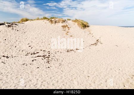 Warnemünde, Mecklenburg-West Pomerania, Alemania - Las dunas de arena en la playa. Foto de stock