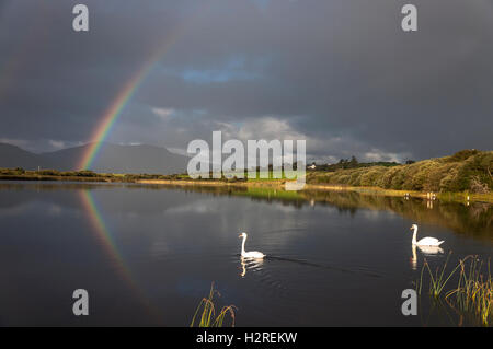 Lago Shanaghan, Ardara, Condado de Donegal, Irlanda clima. El 1 de octubre de 2016. Un arco iris se refleja en el lago de los cisnes se deslizan por un día de sol y los aguaceros en la costa oeste. Crédito: Richard Wayman/Alamy Live News Foto de stock