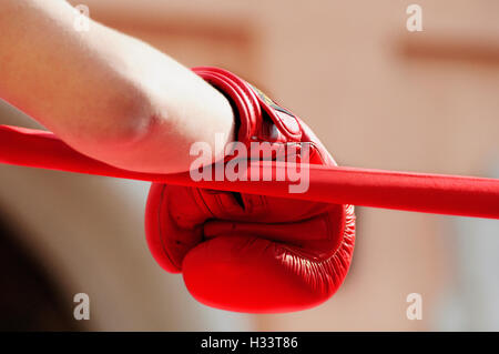 Guante de boxeo Cuerdas de anillo rojo