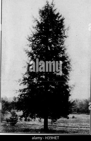 Boletín (Departamento de Pennsylvania de bosques y aguas), no. 51-55 (1923) (1988019