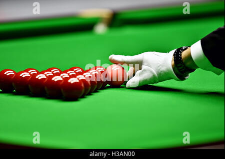 Snooker árbitro organizar bola rosa en el comienzo de un juego Foto de stock