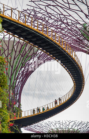 Singapur, jardines junto a la bahía, Supertree Grove, visitantes en OCBC skyway paseo elevado