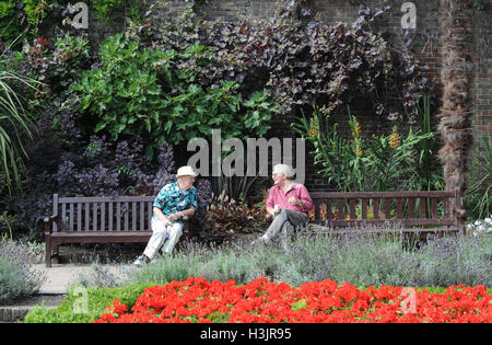 Dos señores ancianos sentados conversando en una banca del parque, mientras que dos niños Juego Pokemon junto a ellos. Foto de stock