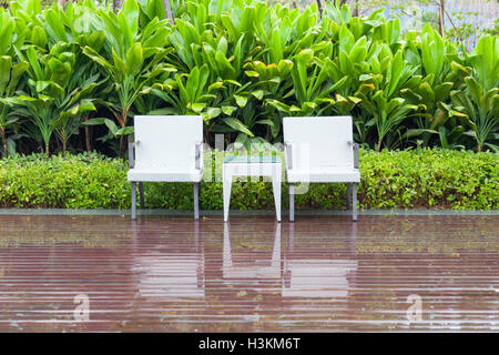 Jardín verde con un grupo de muebles de exterior con mesa y sillas de ratán en un patio, canna y arbusto Foto de stock