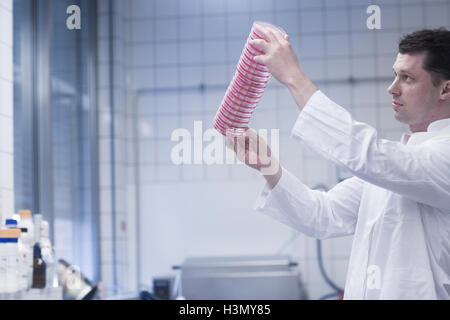 Scientist sosteniendo una pila de placas de petri en el laboratorio Foto de stock